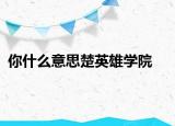 你什么意思楚英雄学院