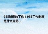 955制度的工作（955工作制度是什么意思）