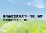 生死由命富贵在天下一句话（生死由命富贵在天下一句）