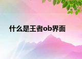 什么是王者ob界面