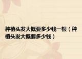 种植头发大概要多少钱一根（种植头发大概要多少钱）