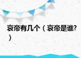 哀帝有几个（哀帝是谁?）