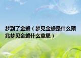 梦到了金蟾（梦见金蟾是什么预兆梦见金蟾什么意思）