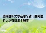 西南医科大学在哪个省（西南医科大学在哪里个城市）