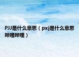 PJJ是什么意思（pxj是什么意思哔哩哔哩）