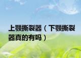 上颚撕裂器（下颚撕裂器真的有吗）