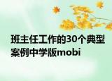 班主任工作的30个典型案例中学版mobi