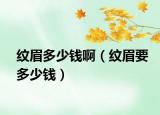 纹眉多少钱啊（纹眉要多少钱）