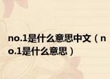 no.1是什么意思中文（no.1是什么意思）