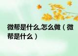 微帮是什么,怎么做（微帮是什么）
