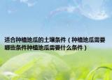适合种植地瓜的土壤条件（种植地瓜需要哪些条件种植地瓜需要什么条件）