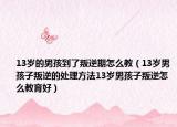 13岁的男孩到了叛逆期怎么教（13岁男孩子叛逆的处理方法13岁男孩子叛逆怎么教育好）