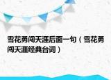 雪花勇闯天涯后面一句（雪花勇闯天涯经典台词）