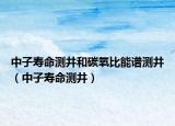 中子寿命测井和碳氧比能谱测井（中子寿命测井）
