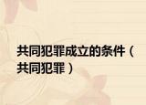 共同犯罪成立的条件（共同犯罪）