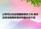 公司可以在试用期辞退员工吗 揭开法律法规具体情况详细内容介绍