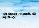 长江融媒app（长江网武汉融媒体发布中心）