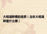 大明湖畔梗的意思（当年大明湖畔是什么梗）
