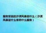 服务里面的沙漠风暴是什么（沙漠风暴是什么意思什么服务）
