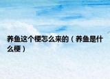 养鱼这个梗怎么来的（养鱼是什么梗）
