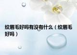 纹眉毛好吗有没有什么（纹眉毛好吗）