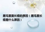 眉毛里面长痘的原因（眉毛里长痘是什么原因）