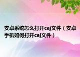 安卓系统怎么打开caj文件（安卓手机如何打开caj文件）