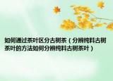 如何通过茶叶区分古树茶（分辨纯料古树茶叶的方法如何分辨纯料古树茶叶）