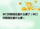 中门对狙现在是什么梗了（中门对狙现在是什么梗）