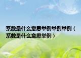 系数是什么意思举例举例举例（系数是什么意思举例）