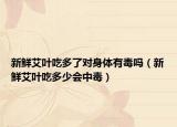 新鲜艾叶吃多了对身体有毒吗（新鲜艾叶吃多少会中毒）