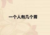 一个人有几个胃