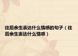 往后余生表达什么情感的句子（往后余生表达什么情感）