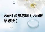 van什么意思啊（van啥意思梗）