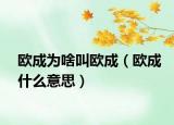 欧成为啥叫欧成（欧成什么意思）