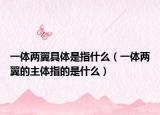 一体两翼具体是指什么（一体两翼的主体指的是什么）