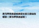 黄马甲快递是啥西安长安三级站在哪里（黄马甲快递是啥）