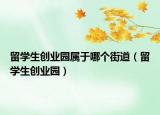 留学生创业园属于哪个街道（留学生创业园）