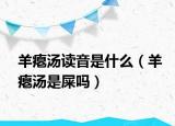 羊瘪汤读音是什么（羊瘪汤是屎吗）