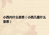 小西内什么意思（小西几是什么意思）