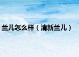 兰儿怎么样（清新兰儿）