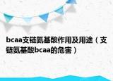 bcaa支链氨基酸作用及用途（支链氨基酸bcaa的危害）