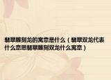 翡翠雕刻龙的寓意是什么（翡翠双龙代表什么意思翡翠雕刻双龙什么寓意）
