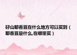 矷山耶香豆在什么地方可以买到（耶香豆是什么,在哪里买）