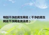 特别干净的男生网名（干净的男生网名干净网名男温柔）