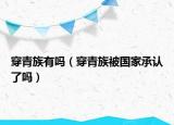 穿青族有吗（穿青族被国家承认了吗）