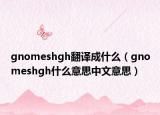 gnomeshgh翻译成什么（gnomeshgh什么意思中文意思）