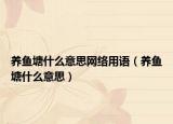 养鱼塘什么意思网络用语（养鱼塘什么意思）
