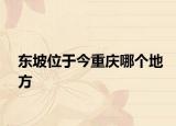 东坡位于今重庆哪个地方