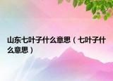 山东七叶子什么意思（七叶子什么意思）